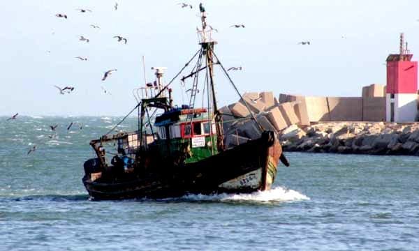 Maroc : les subventions à la pêche au menu d’un séminaire à Genève