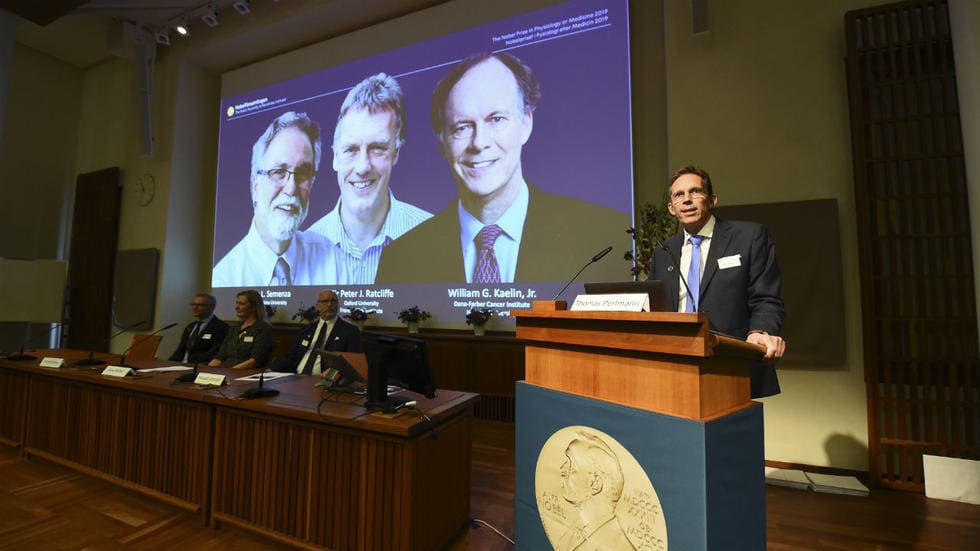 Le Nobel de médecine récompense des spécialistes de l’oxygénation des cellules