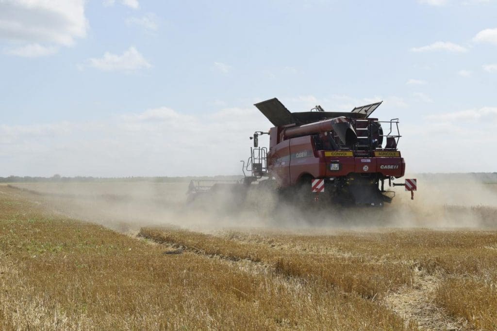 Céréales : risques de chauffe sur les prix, 576.000 tonnes à importer pour le Maroc
