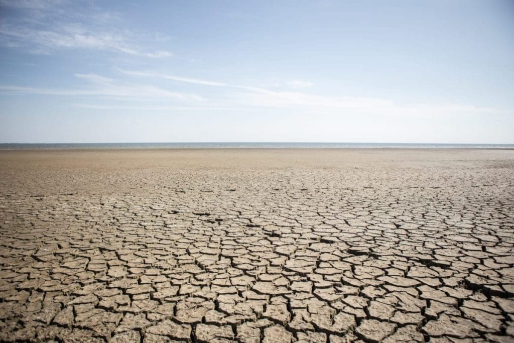 L’Afrique du Sud prévoit des mesures urgentes pour faire face à la sécheresse