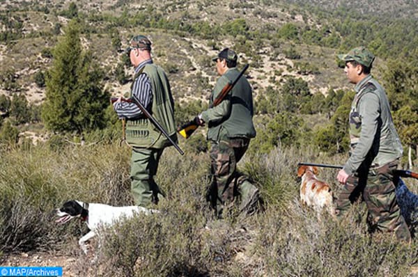 Kénitra : ouverture dimanche de la saison de chasse 2019-2020