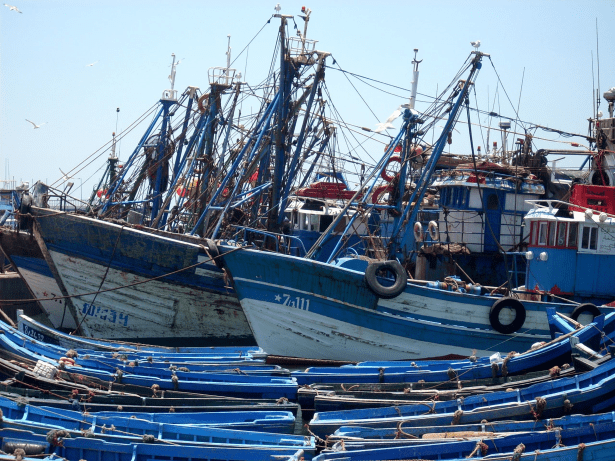 Pêche côtière et artisanale : hausse de 7% des débarquements à fin septembre