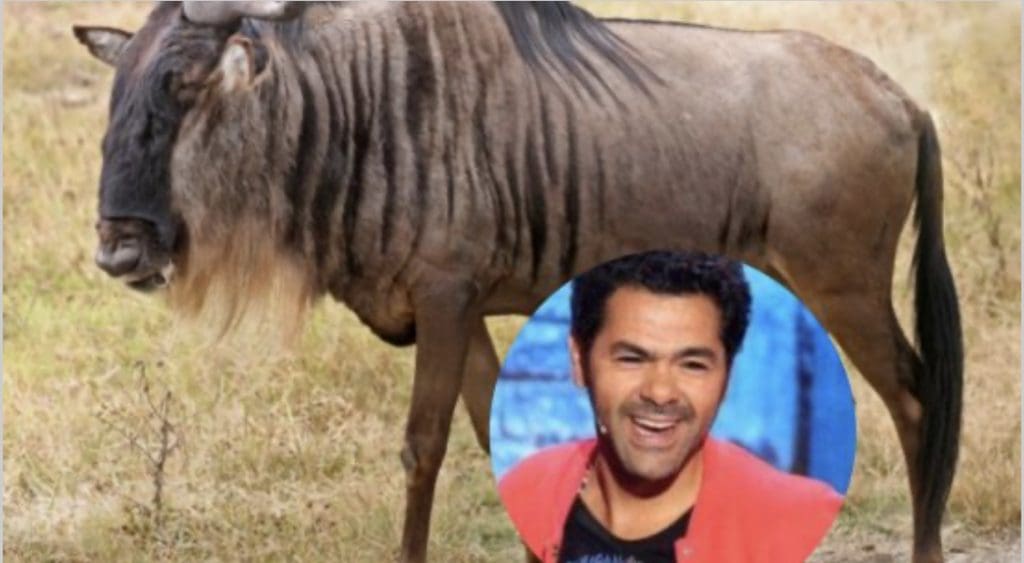 Jamel Debbouze : il faut savoir quitter la table, lorsque l’humour est desservi …