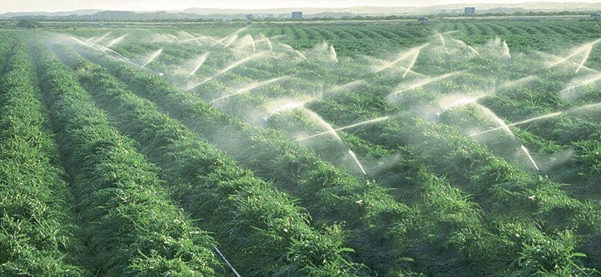 Plan Maroc vert : des entreprises et des agriculteurs risquent de lourdes sanctions pour fraude fiscale
