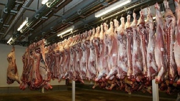 Casablanca : les professionnels de la filière viande protestent contre la fermeture des abattoirs de Mediouna et Tit Mellil