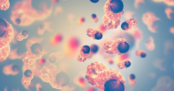 Maroc : les cancers mieux dépistés grâce à une stratégie améliorée, selon un rapport