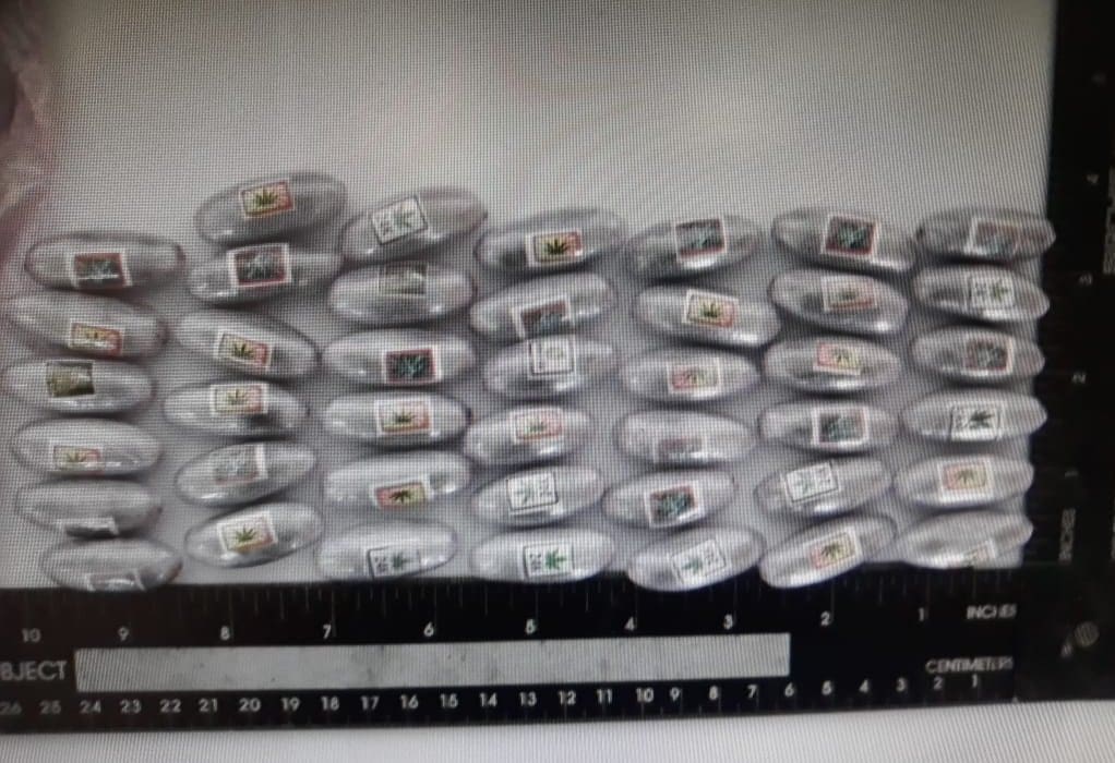 Arrestation de 2 citoyennes tunisiennes pour trafic international de drogue et de psychotropes