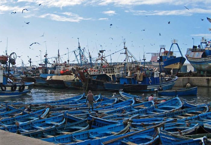 ONP : repli de 8% de la valeur marchande des produits de la pêche