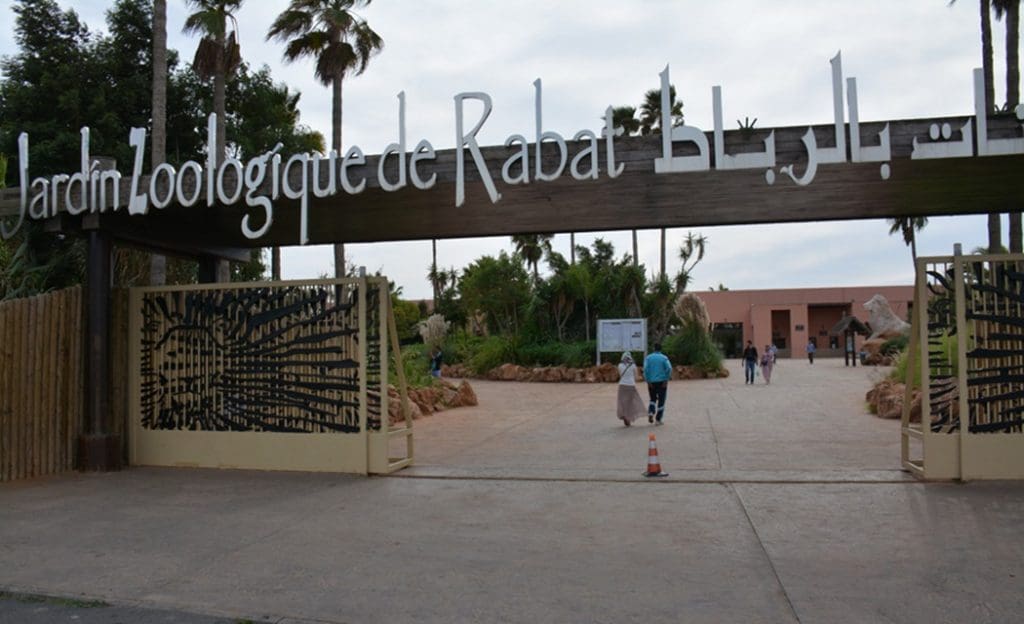 Le jardin zoologique de Rabat  se dote d’un vivarium