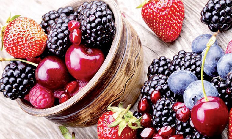 La région du Loukkos se prépare à la campagne des fruits rouges