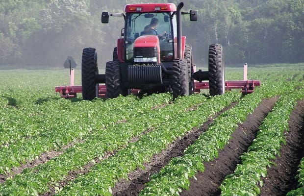 le Maroc et le FIDA signent un accord pour financer les petits agriculteurs