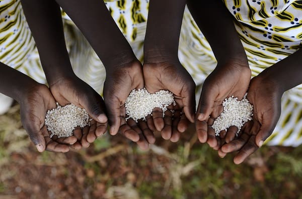 ONU : la faim en Afrique subsaharienne poursuit sa progression