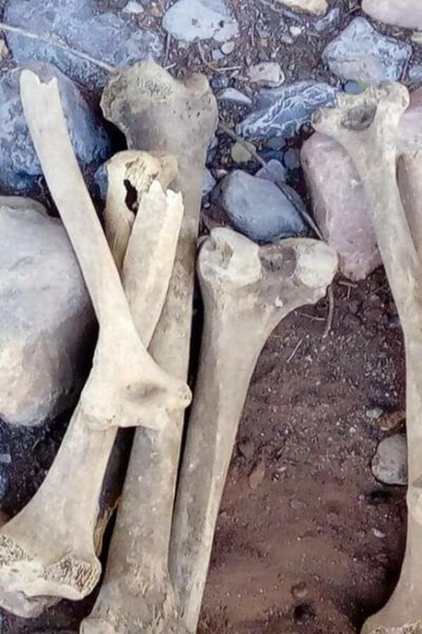 Ossements humains et objets antiques découverts à Azilal