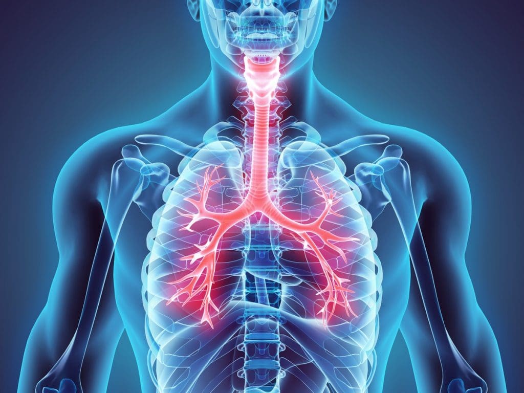 Chine : une pneumonie d’origine inconnue atteint 44 personnes