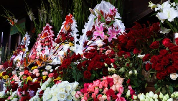 Rabat : la saison morte perpétuelle du marché des fleurs