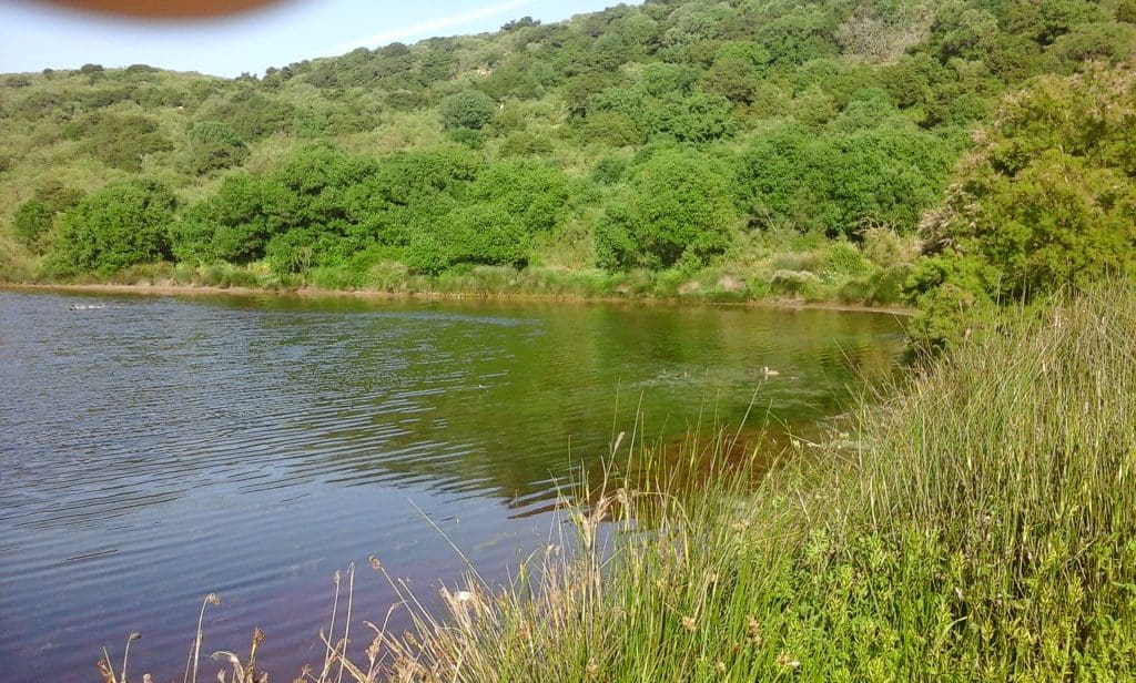 Le Haut-commissariat aux eaux et forêts ambitionne de mettre en œuvre 60 plans d’aménagement des zones humides