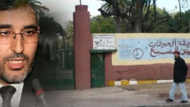 PJD : El Omari accusé de bloquer la rénovation du zoo d’Ain Sebaa à des fins électoralistes