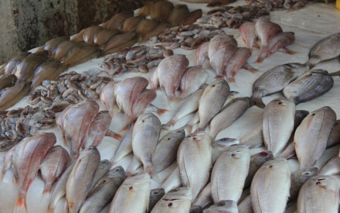 Le Maroc restreint le passage de poissons pêchés en eaux marocaines, à Sebta