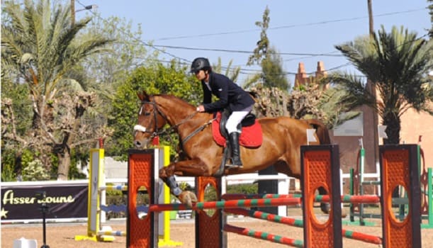 Beni Mellal : le Club équestre de L’ERC des FAR domine le classement du Concours national de Saut d’obstacles