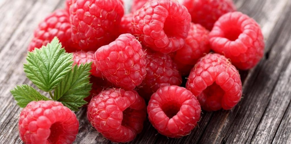 Les USA autorisent l’importation de framboises marocaines