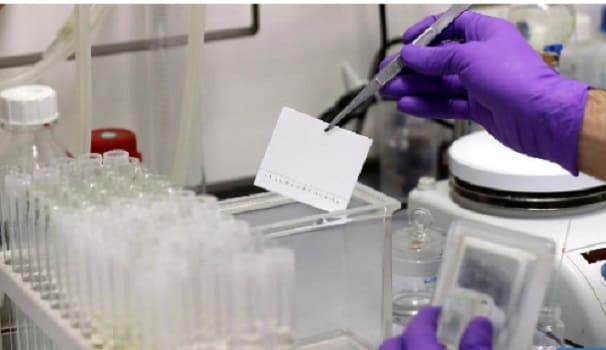La Russie entame les tests de vaccin contre le coronavirus sur des animaux de laboratoires