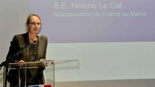 De l’interview de l’ambassadrice de France Hélène Le Gal ne jaillit pas la lumière…