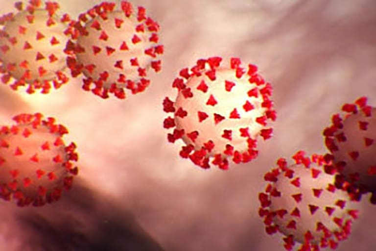 Coronavirus : première mort en France d’un enfant atteint d’une forme proche de la maladie de Kawasaki