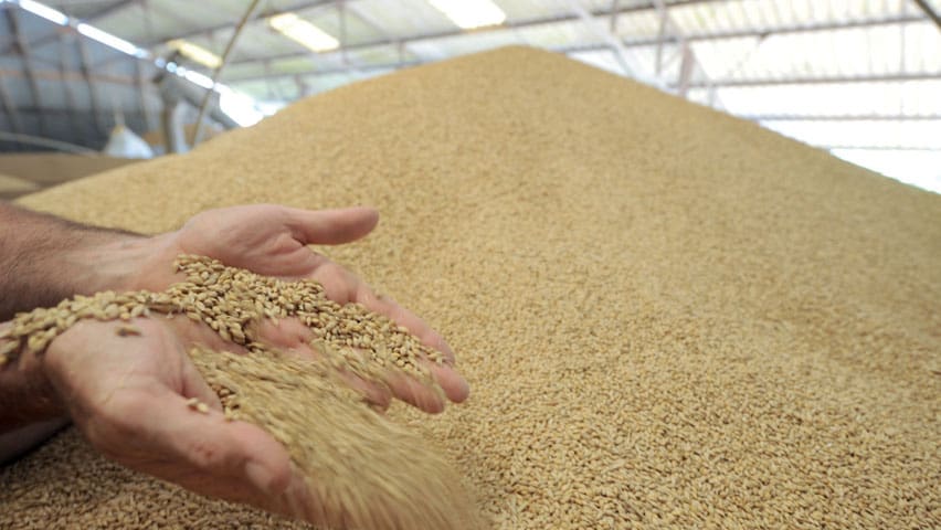 Sécurité alimentaire et guerre Russie-Ukraine : le point avec Najib Akesbi