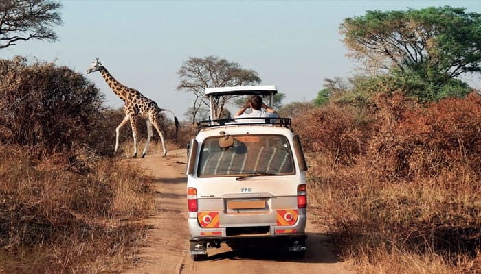 Pour de nombreux pays africains, le tourisme peut représenter entre 30% et 80% des exportations