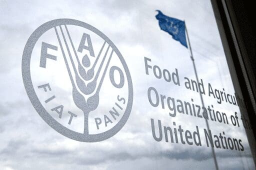 FAO : le Maroc pleinement engagé dans les actions en faveur de la sécurité alimentaire en Afrique