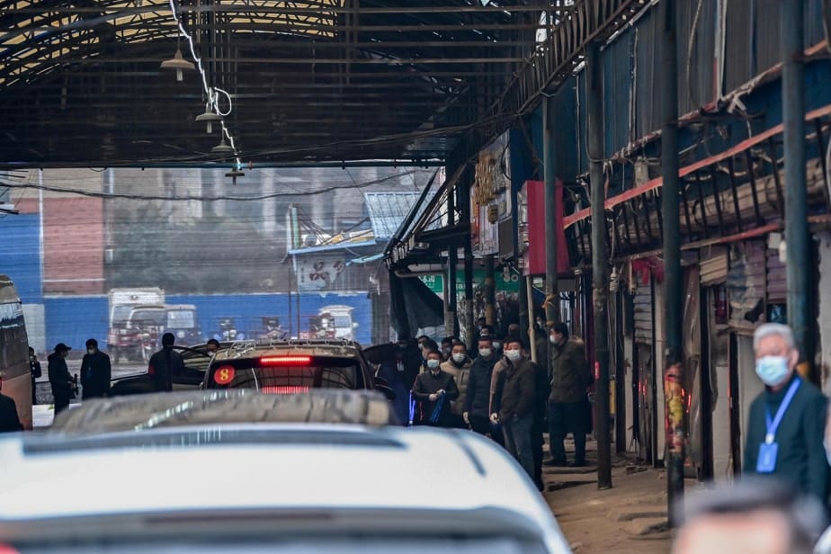 Chine : les experts de l’OMS enquêtent au marché de Wuhan