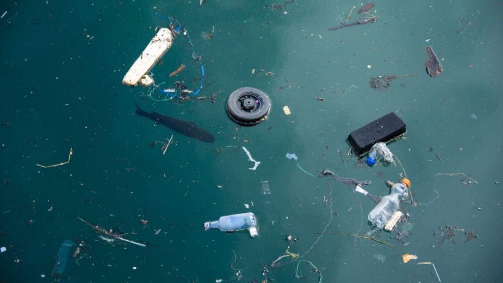 L’ONU s’inquiète de l’augmentation des «zones mortes» dans les océans