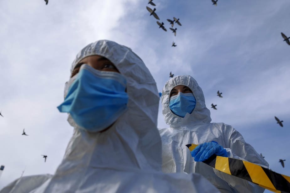 Première mondiale : Israël interdit le commerce de toute fourrure animale pour la mode