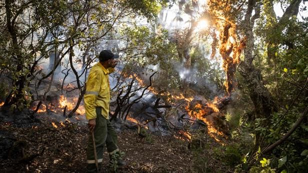 L’incendie dans le nord du Maroc est «totalement maîtrisé», déclarent les autorités