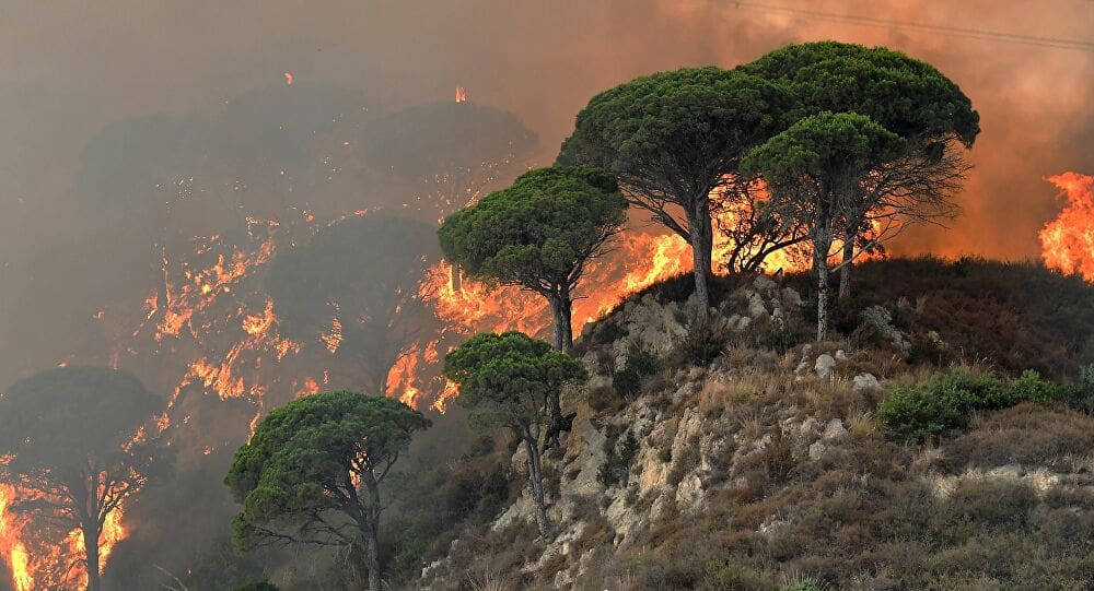 En Italie, 800 départs de feu en fin de semaine
