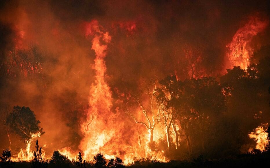 Chefchaouen: Poursuite des efforts pour maîtriser un incendie ayant ravagé environ 725 ha de forêt