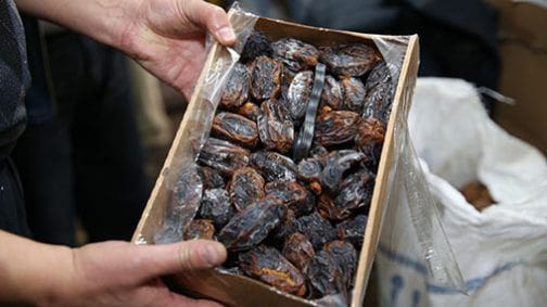 Saisie de plus de 13 tonnes de dattes impropres à la consommation à Marrakech