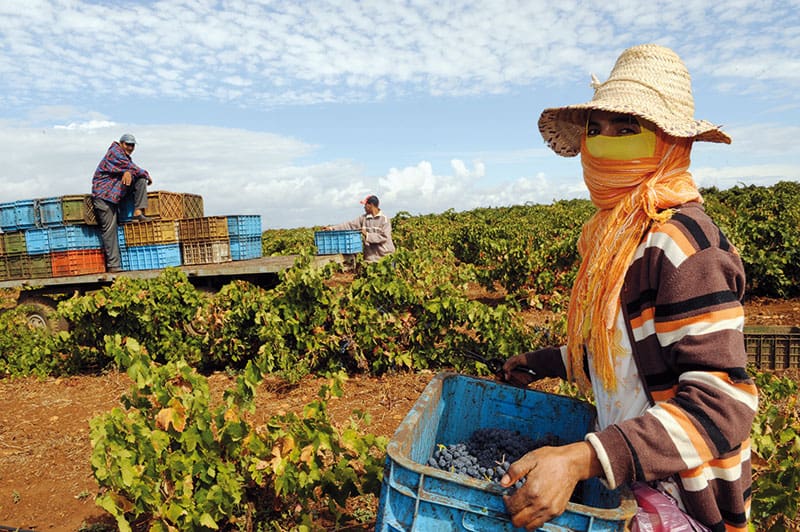 BAD: un prêt de plus de 114 M€ pour soutenir l’agriculture