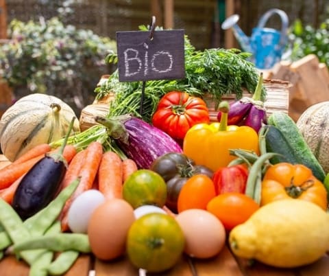 Forte croissance de l’agriculture bio au Maroc