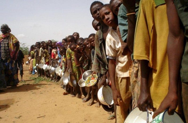 La sécheresse menace de famine 20 millions de personnes