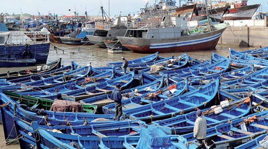 Pêche au Maroc: hausse des débarquements de 14% à fin mai 2022
