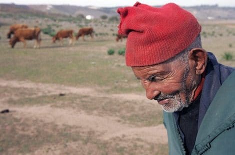 Abdelkrim Nouamane révèle les astuces d’agriculteurs pour pallier le retard des précipitations