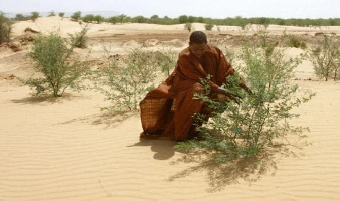 La COP15 contre la désertification s’ouvre à Abidjan