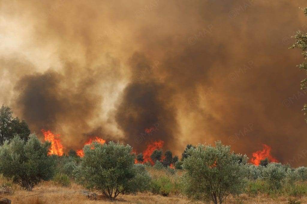 Feux : quatre suspects accusés d’être des pyromanes arrêtés au nord du Maroc