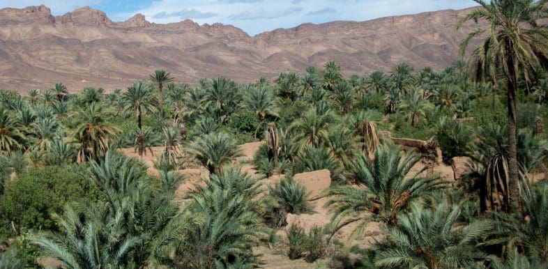 Le Maroc à la présidence du Programme sur l’homme et la biosphère