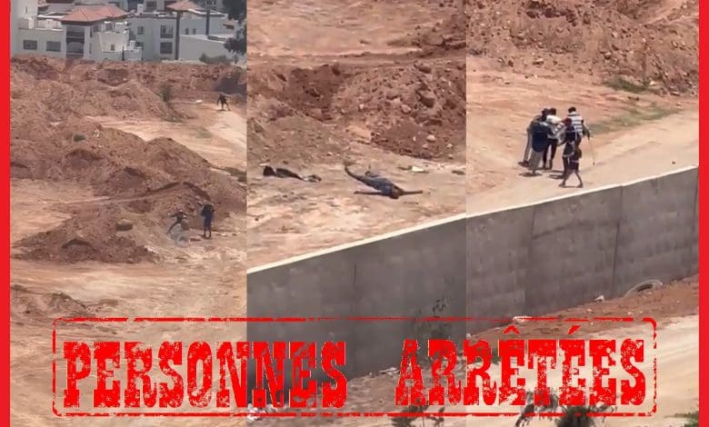 Agadir : les présumés agresseurs d’un SDF arrêtés