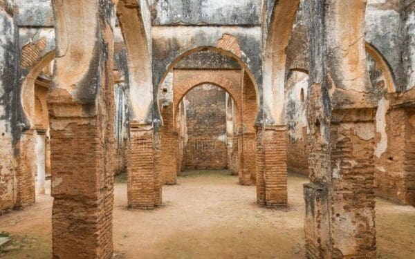 Les fouilles archéologiques à Chellah et de Sijilmassa bénéficieront désormais d’une couverture médiatique